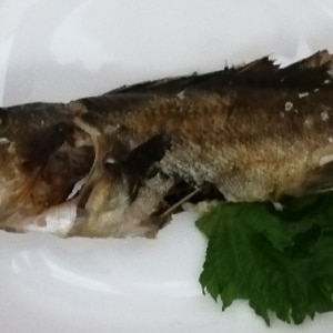 釣った小魚(ガヤメバル)の塩焼き